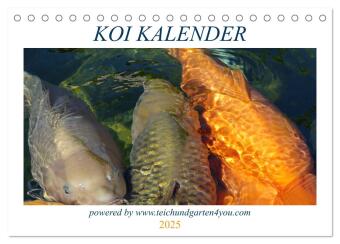 Koikichi Kalender 2025 (Tischkalender 2025 DIN A5 quer), CALVENDO Monatskalender
