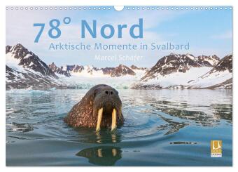 78° Nord - Arktische Momente in Svalbard (Wandkalender 2025 DIN A3 quer), CALVENDO Monatskalender