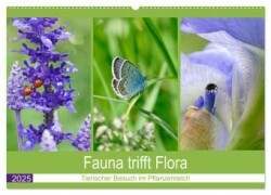 Fauna trifft Flora - Tierischer Besuch im Pflanzenreich (Wandkalender 2025 DIN A2 quer), CALVENDO Monatskalender