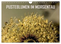 Pusteblumen im Morgentau (Wandkalender 2025 DIN A4 quer), CALVENDO Monatskalender