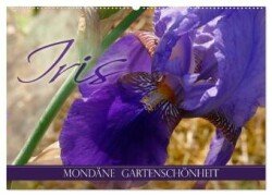 Iris - mondäne Gartenschönheit (Wandkalender 2025 DIN A2 quer), CALVENDO Monatskalender