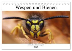 Faszination Makrofotografie: Wespen und Bienen (Tischkalender 2025 DIN A5 quer), CALVENDO Monatskalender