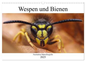 Faszination Makrofotografie: Wespen und Bienen (Wandkalender 2025 DIN A3 quer), CALVENDO Monatskalender