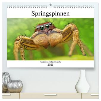 Faszination Makrofotografie: Springspinnen (hochwertiger Premium Wandkalender 2025 DIN A2 quer), Kunstdruck in Hochglanz