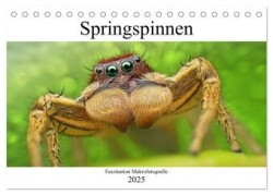 Faszination Makrofotografie: Springspinnen (Tischkalender 2025 DIN A5 quer), CALVENDO Monatskalender