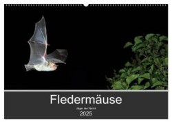 Fledermäuse - Jäger der Nacht (Wandkalender 2025 DIN A2 quer), CALVENDO Monatskalender