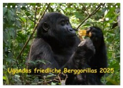 Ugandas friedliche Berggorillas (Tischkalender 2025 DIN A5 quer), CALVENDO Monatskalender