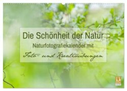 Die Schönheit der Natur - Naturfotografie-Kalender mit Foto- und Kreativübungen (Wandkalender 2025 DIN A2 quer), CALVENDO Monatskalender