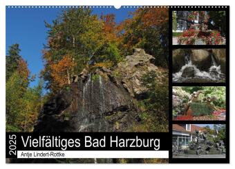 Vielfältiges Bad Harzburg (Wandkalender 2025 DIN A2 quer), CALVENDO Monatskalender