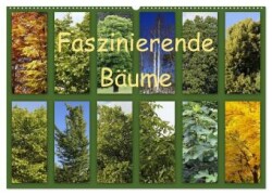 Faszinierende Bäume (Wandkalender 2025 DIN A2 quer), CALVENDO Monatskalender