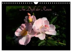 Im Duft der Rosen (Wandkalender 2025 DIN A4 quer), CALVENDO Monatskalender