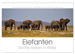 Elefanten - Sanfte Riesen in Afrika (Wandkalender 2025 DIN A3 quer), CALVENDO Monatskalender