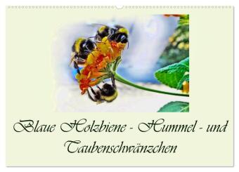 Blaue Holzbiene - Hummel - und Taubenschwänzchen. (Wandkalender 2025 DIN A2 quer), CALVENDO Monatskalender