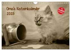 Oma's Katzenkalender 2025 (Wandkalender 2025 DIN A4 quer), CALVENDO Monatskalender