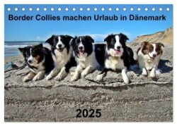 Border Collies machen Urlaub in Dänemark (Tischkalender 2025 DIN A5 quer), CALVENDO Monatskalender