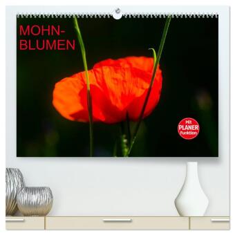 Mohnblumen (hochwertiger Premium Wandkalender 2025 DIN A2 quer), Kunstdruck in Hochglanz