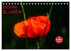 Mohnblumen (Tischkalender 2025 DIN A5 quer), CALVENDO Monatskalender