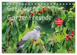 Gefiederte Gartenfreunde (Tischkalender 2025 DIN A5 quer), CALVENDO Monatskalender