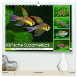 Killifische Südamerikas (hochwertiger Premium Wandkalender 2025 DIN A2 quer), Kunstdruck in Hochglanz