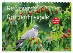 Gefiederte Gartenfreunde (Wandkalender 2025 DIN A3 quer), CALVENDO Monatskalender