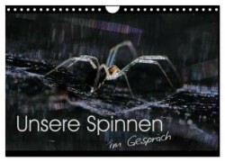 Unsere Spinnen - im Gespräch (Wandkalender 2025 DIN A4 quer), CALVENDO Monatskalender