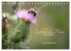 Zierbilder der Natur BLUMEN (Tischkalender 2025 DIN A5 quer), CALVENDO Monatskalender