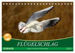 Flügelschlag - Vögel in ihrem natürlichen Lebensraum (Tischkalender 2025 DIN A5 quer), CALVENDO Monatskalender