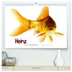 Heinz - Der Goldfisch (hochwertiger Premium Wandkalender 2025 DIN A2 quer), Kunstdruck in Hochglanz