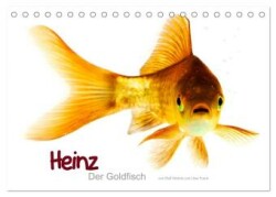 Heinz - Der Goldfisch (Tischkalender 2025 DIN A5 quer), CALVENDO Monatskalender