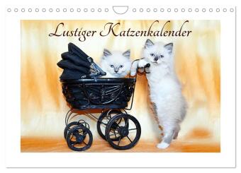 Lustiger Katzenkalender (Wandkalender 2025 DIN A4 quer), CALVENDO Monatskalender