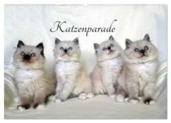 Katzenparade (Wandkalender 2025 DIN A2 quer), CALVENDO Monatskalender