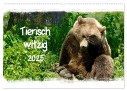 Tierisch witzig (Wandkalender 2025 DIN A2 quer), CALVENDO Monatskalender