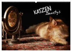 KATZEN Beautys (Wandkalender 2025 DIN A2 quer), CALVENDO Monatskalender