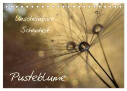 Unscheinbare Schönheit - Pusteblume (Tischkalender 2025 DIN A5 quer), CALVENDO Monatskalender