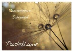 Unscheinbare Schönheit - Pusteblume (Wandkalender 2025 DIN A3 quer), CALVENDO Monatskalender