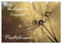 Unscheinbare Schönheit - Pusteblume (Wandkalender 2025 DIN A4 quer), CALVENDO Monatskalender