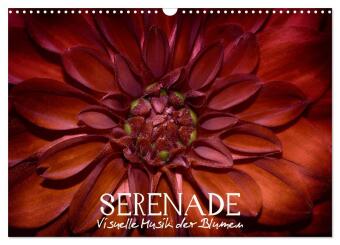 Serenade - Visuelle Musik der Blumen (Wandkalender 2025 DIN A3 quer), CALVENDO Monatskalender