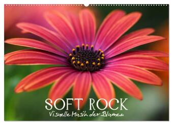 Soft Rock - Visuelle Musik der Blumen (Wandkalender 2025 DIN A2 quer), CALVENDO Monatskalender