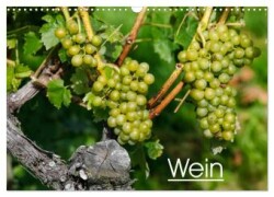 Wein (Wandkalender 2025 DIN A3 quer), CALVENDO Monatskalender