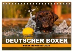 Deutscher Boxer - Boxer im Wasser 2025 (Tischkalender 2025 DIN A5 quer), CALVENDO Monatskalender