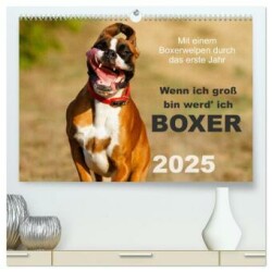 Wenn ich groß bin werd' ich Boxer (hochwertiger Premium Wandkalender 2025 DIN A2 quer), Kunstdruck in Hochglanz