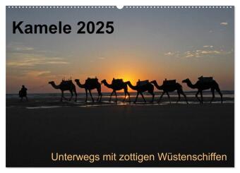 Kamele 2025 - Unterwegs mit zottigen Wüstenschiffen (Wandkalender 2025 DIN A2 quer), CALVENDO Monatskalender