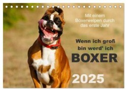 Wenn ich groß bin werd' ich Boxer (Tischkalender 2025 DIN A5 quer), CALVENDO Monatskalender