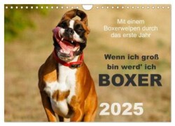 Wenn ich groß bin werd' ich Boxer (Wandkalender 2025 DIN A4 quer), CALVENDO Monatskalender