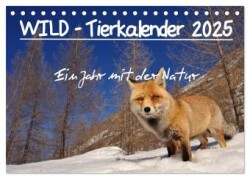 WILD - Tierkalender 2025 (Tischkalender 2025 DIN A5 quer), CALVENDO Monatskalender