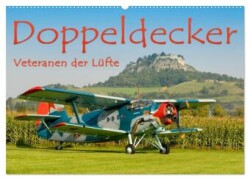 Doppeldecker - Veteranen der Lüfte (Wandkalender 2025 DIN A2 quer), CALVENDO Monatskalender