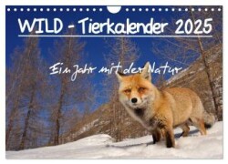 WILD - Tierkalender 2025 (Wandkalender 2025 DIN A4 quer), CALVENDO Monatskalender