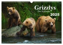 Grizzlys - Der Kalender CH-Version (Wandkalender 2025 DIN A3 quer), CALVENDO Monatskalender