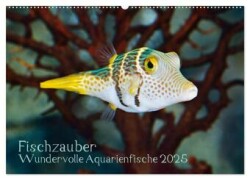 Fischzauber - Wundervolle Aquarienfische (Wandkalender 2025 DIN A2 quer), CALVENDO Monatskalender
