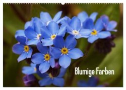 Blumige Farben (Wandkalender 2025 DIN A2 quer), CALVENDO Monatskalender